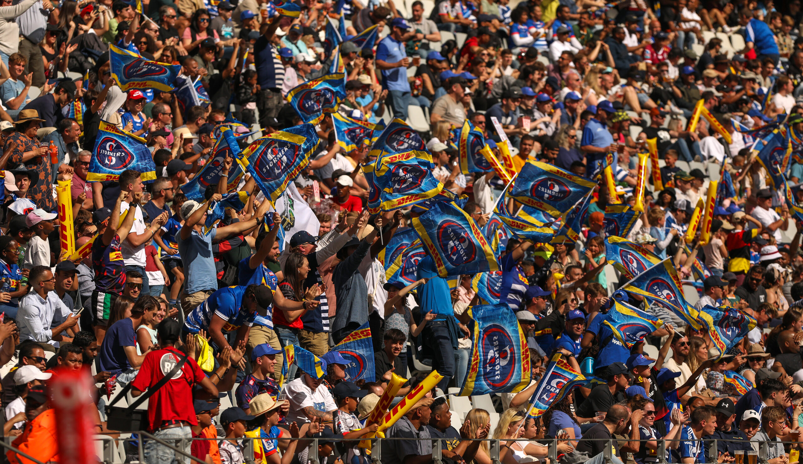 DHL Stormers v Scarlets All you need to know The Official Website