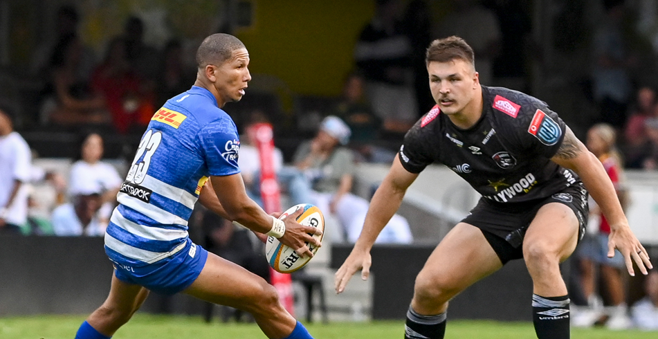 Lush Bok Boost For Dhl Stormers In Gqeberha Design Collection Lush Bok Boost For Dhl Stormers In Gqeberha Design Collection